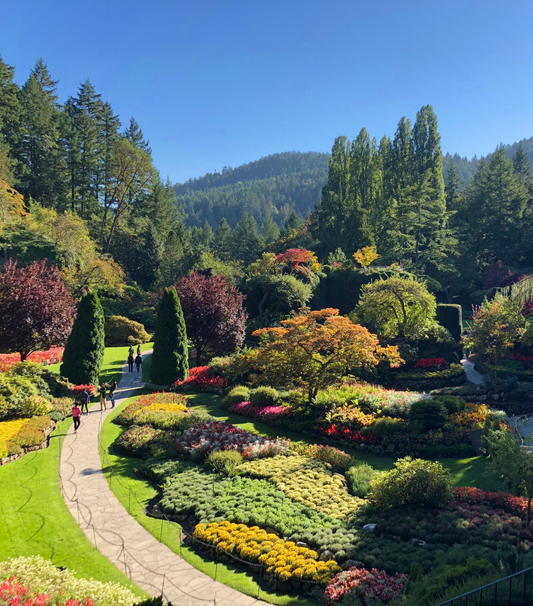 Butchart Gardens Tour